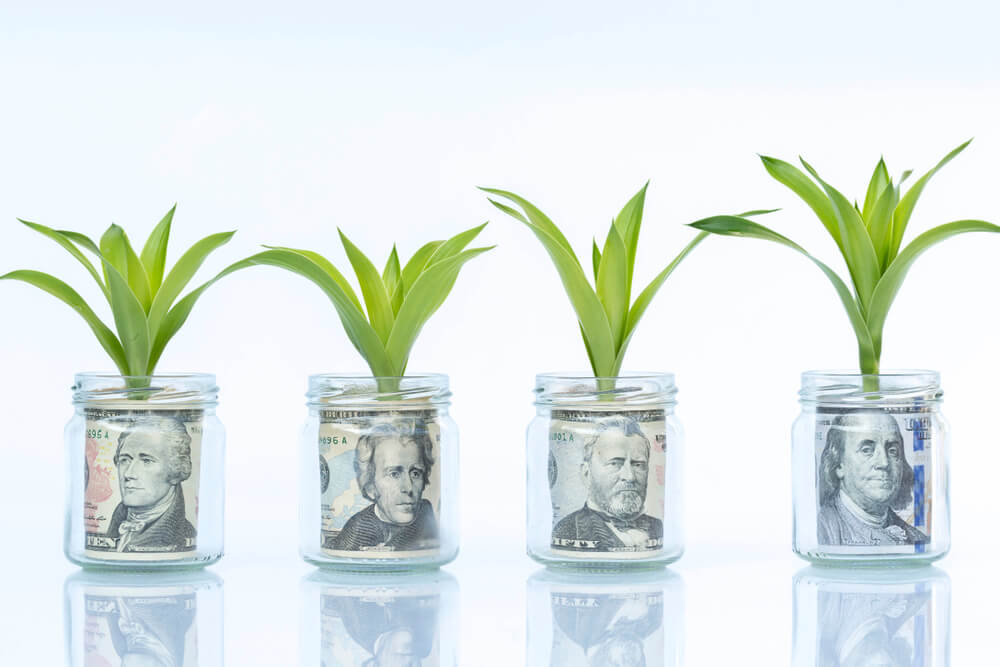 Growing your business cash flow