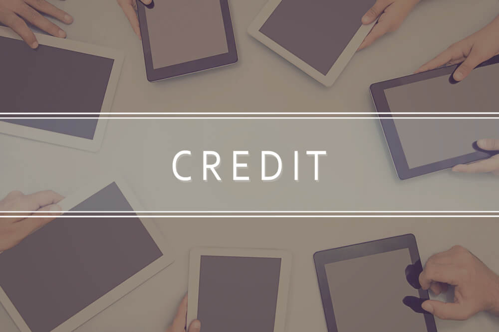 small business credit report 